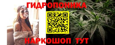 дживик Будённовск