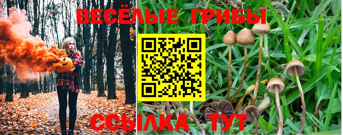 Псилоцибиновые грибы GOLDEN TEACHER Петрозаводск